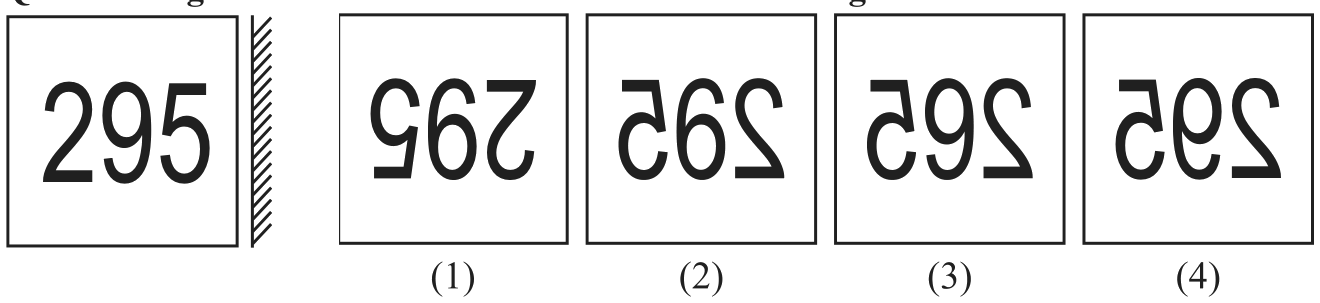 295 with a mirror on its right, and four answer figures.